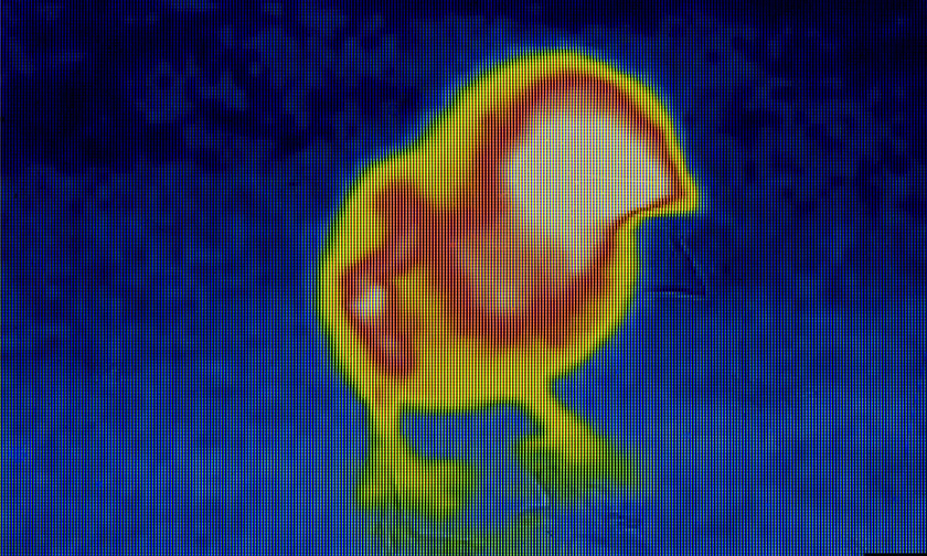 医学・動植物研究の産業用CT導入事例