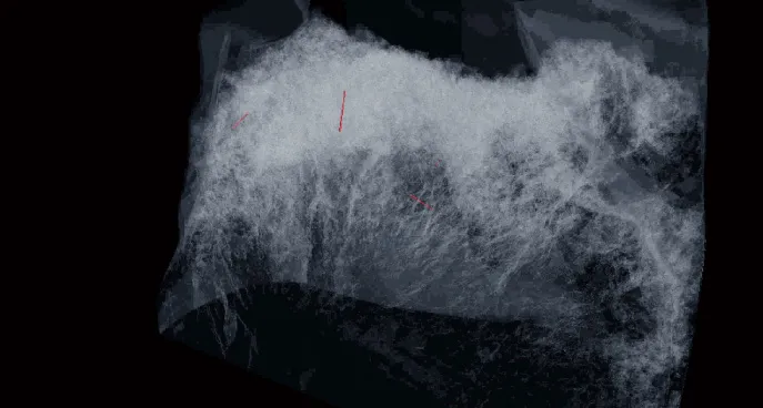 粉末材料のサンプル撮影画像