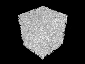 ウシ海綿骨のCT画像